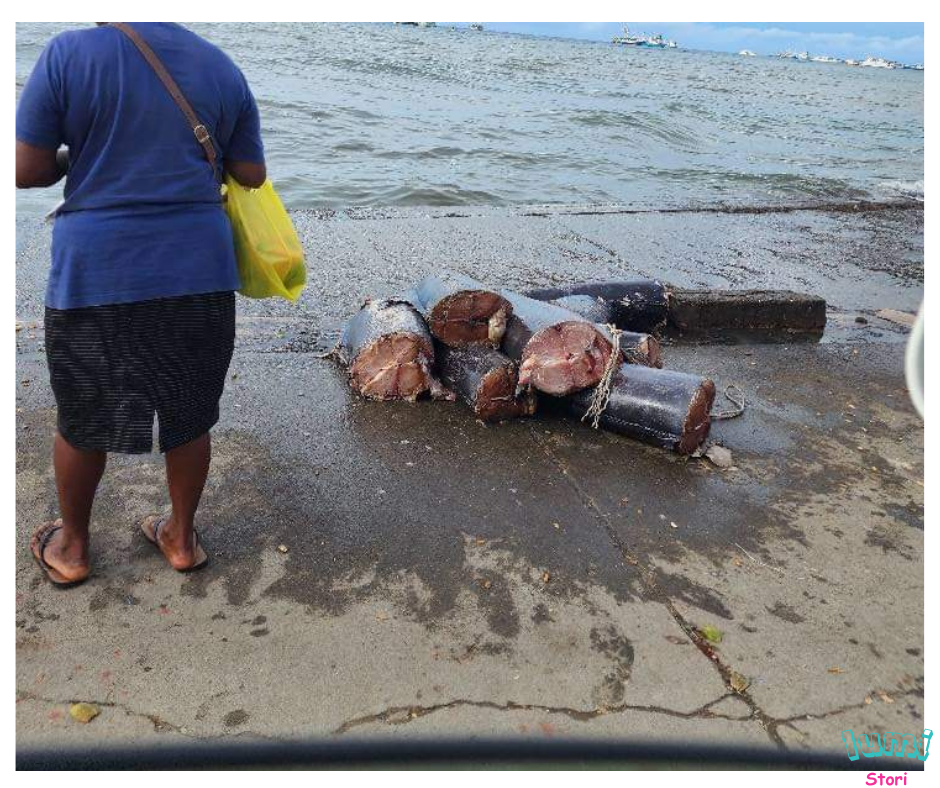 How Can Honiara City Council and the Ministry Of Health Allow this Unhygienic Practice by Fish Sellers?